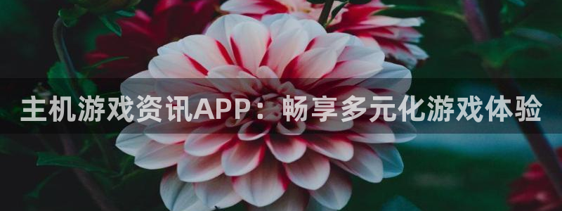赢咖娱乐登录：主机游戏资讯APP：畅享多元化游戏体验