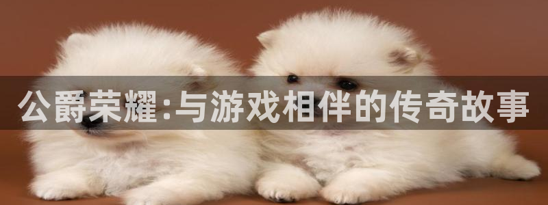 赢咖娱乐游戏：公爵荣耀:与游戏相伴的传奇故事