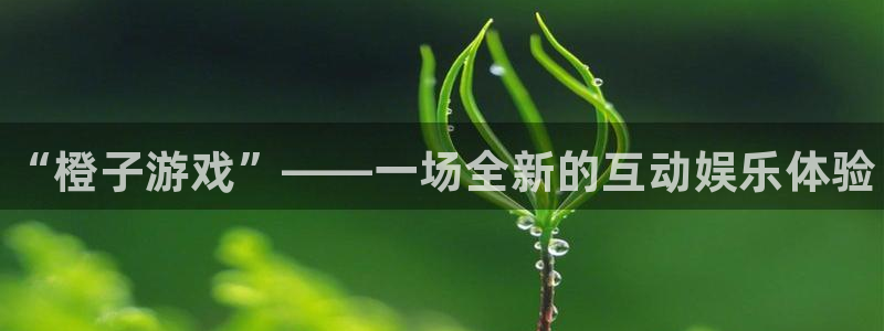 赢咖娱乐注册：“橙子游戏”——一场全新的互动娱乐体验