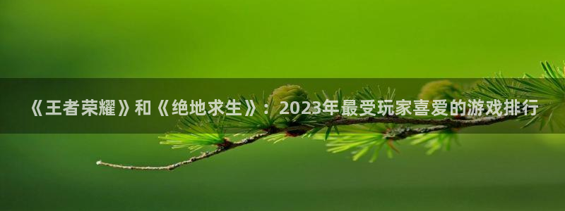 赢咖娱乐平台登陆：《王者荣耀》和《绝地求生》：2023年最受