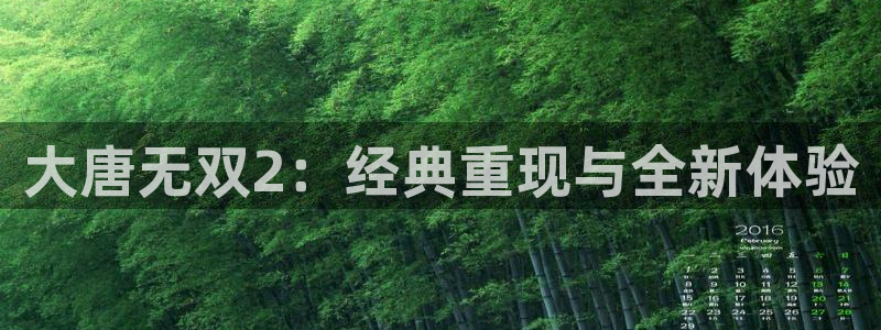 赢咖娱乐怎么注册：大唐无双2：经典重现与全新体验