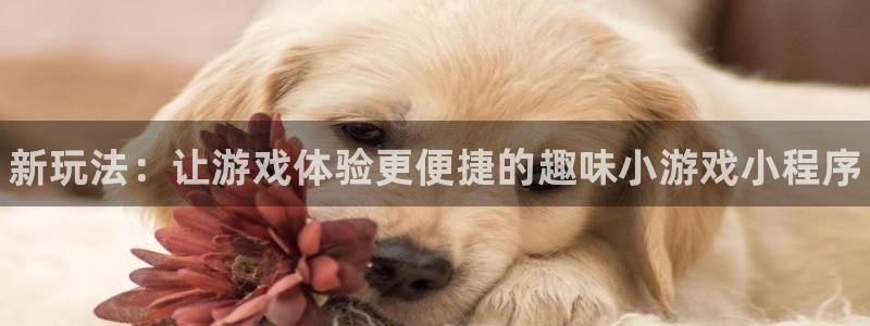 赢咖娱乐的意思：新玩法：让游戏体验更便捷的趣味小游戏小程序