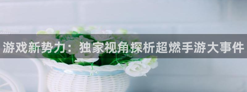 赢咖娱乐游戏：游戏新势力：独家视角探析超燃手游大事件
