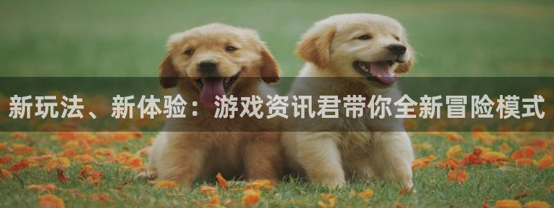 手机版赢咖娱乐客户端下载：新玩法、新体验：游戏资讯君带你全新