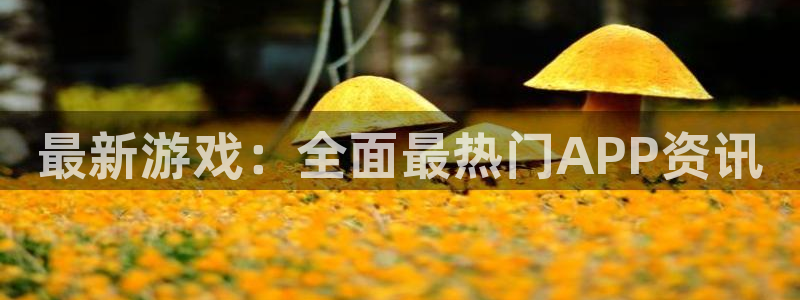 赢咖20看盛求33 300：最新游戏：全面最热门APP资讯