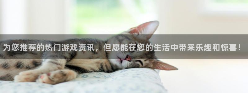 赢咖娱乐下载链接：为您推荐的热门游戏资讯，但愿能在您的生活中