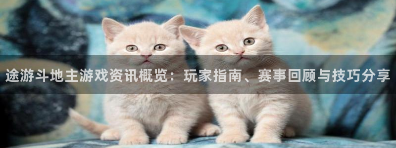 赢咖娱乐官方平台：途游斗地主游戏资讯概览：玩家指南、赛事回顾