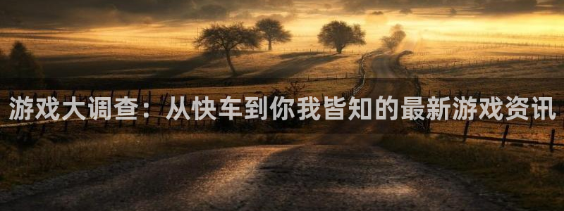 赢咖娱乐注册网站：游戏大调查：从快车到你我皆知的最新游戏资讯